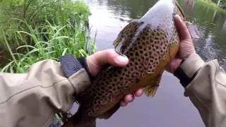 Pottu kalastaa vol 38- taimenen ja kuhan kalastusta /salmon trout and zander fishing