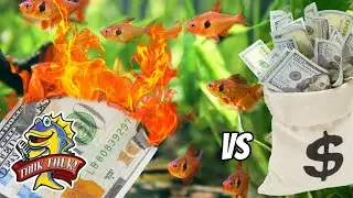 5 Ways To Save and 5 Ways To Lose Money