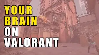 Valorant is doing this to your brain