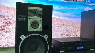 Pioneer999 & Teac & Technics, demo - 2