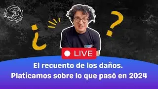 Cómo me lo explico en VIVO: Saludos y nuevos contenidos.