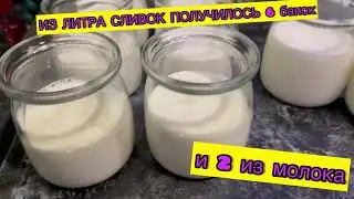 Йогурт по методу доктора Берга с РЕУТЕРИ