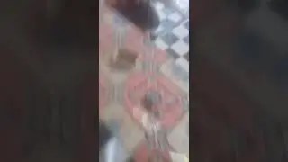 VIRAL!!! BOCAH LAGI WIK WIK
