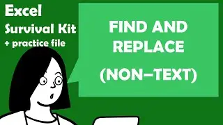 Excel Survival Kit: Find and Replace (non-text)