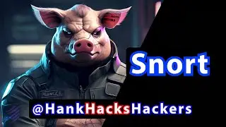 Snort This: 2.5 Hours of In Depth Snort Tutorial / Security Analyst Training