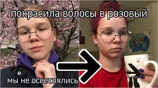 ПОКРАСИЛА ВОЛОСЫ В РОЗОВЫЙ ЦВЕТ (без осветления) #КРАСИМВОЛОСЫ