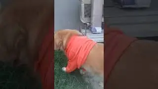 Mga Ka Buddy Happy Lang Po Tayo..