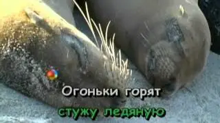 Детские Караоке песни  Песенка Умки
