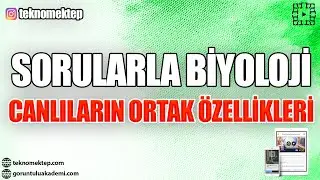 Sorularla Biyoloji Canlıların Ortak Özellileri