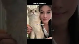 Это лишь моё мнение!!! #remix #music #популярное #рек #рекомендации #шортс