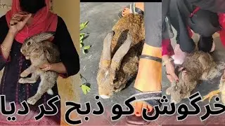 Woman Butcher Slaughters Rabbit Perfectly | Real Village Life | Lady butcher vlog 