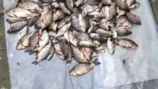 Краснодарский край Удачный улов