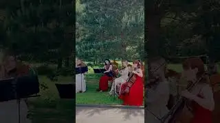 Цю трендову композицію  з «Бріджертонів» ми не могли пропустити 🥰 #stringquartet  #bridgerton