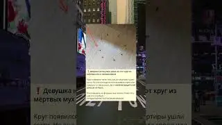 P_❗️Девушка наткнулась дома на этот круг из мёртвых мух и запаниковала