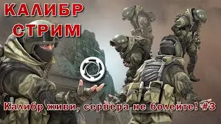 Калибр - Стрим - Калибр живи, сервер не болей ! #3 16+