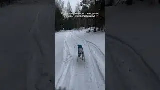 Самая преданная любовь 🤍 