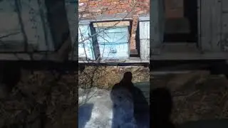 первый облет