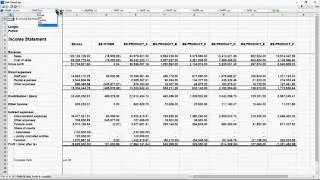 Designing Your Unique Consolidated Financial Statements