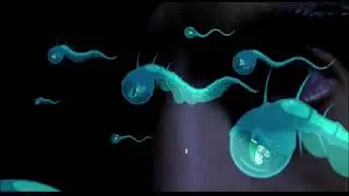 Галлюцинация. Приход. Высший пилотаж (Spun) 2002 (18+)