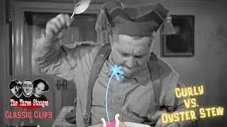 Three Stooges - Curley vs. Raw Oyster Stew - CURLY PERSPECTIVE #laugh #funny #comedy