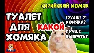 ТУАЛЕТ ДЛЯ ХОМЯКА | КАКОЙ ТУАЛЕТ У ХОМЯКА? | КАКОЙ ЛУЧШЕ ВЫБРАТЬ?