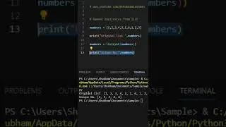 How to find and remove duplicates from list in python? 