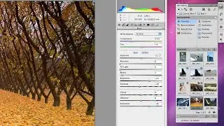 How To Open Mini Bridge In Photoshop