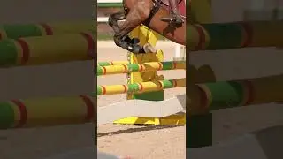 Конкур прекрасен. На видео: 