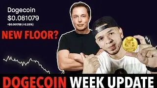 DogeCoin News // Week Update