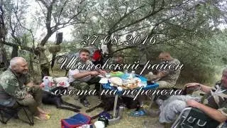 Охота на перепела с легавыми. Открытие 2016-2017