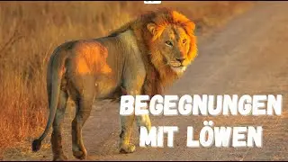 Bibel und gebetstunde 14/08/2024
