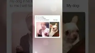 These memes will change your MOOD 100% | Funny Memes 2023 |