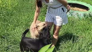 Миша