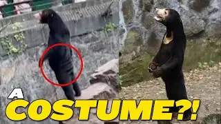 The Mystery at a Chinese Zoo