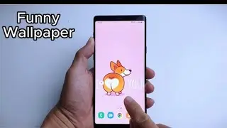 Funny wallpaper for your Phone