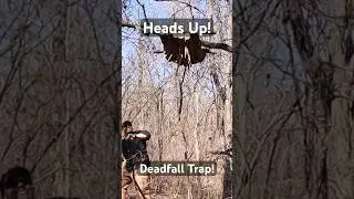 Deadfall ☠️ Trap! 