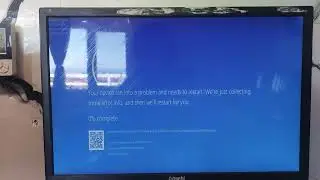 Windows 10 Has BSOD (Custom NotMyFault)