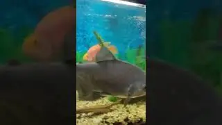Экскурсия 