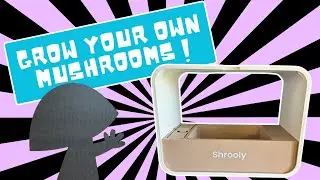 Shrooly Mushroom Machine Unboxing: How to Set Up Your Home Fungi Farm