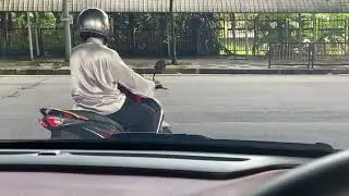 Proton X50 System 360-Degree Protection