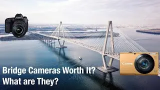What are Bridge Cameras? Worth Buying in 2021?