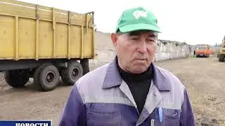 Кормозаготовка, 