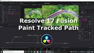 Resolve 17 Fusion | Paint Tracker Path