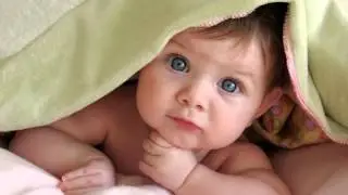 bebes ef flores