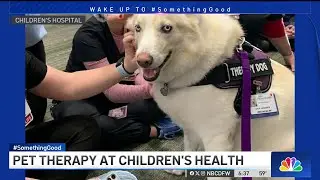 Women adopts late neighbor's dog and starts pet therapy
