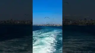 View of Istanbul 🤩 #turkey #istanbul #seaside #yacht #sea #cityview #funnyshorts
