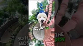 The Most Magical POV ❤️🪄