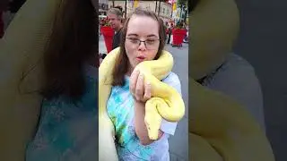 Warm & Cuddly #snake #viral #shorts