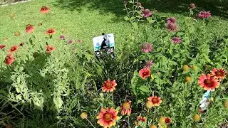 First Day of Summer Walkaround 2024