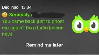 Insane Duolingo Sentences Part 23